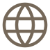 Globe icon